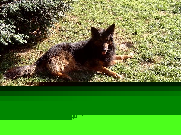 Klicken fr Bild in voller Grsse