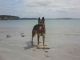 Dateiname : Baywatch.jpg
Dateigrösse : 10kB
Abmessungen : 640x480
hinzugefügt am : 23.Juni 2011 Baywatch.jpg