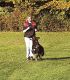 Dateiname : Sina und Arrek.jpg
Dateigrösse : 53kB
Abmessungen : 300x341
hinzugefügt am : 13.November 2005 Sina und Arrek.jpg