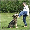 Hundesport mit Handicap